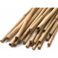 Gardenbox Bambu Bitki Destek Çubuğu, 60 Cm, 10'lu Set