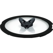 Tefal Ingenio L9846302 Cam Kapak, 20 Cm, Yer Tasarruflu Saklama, Katlanır Sap, Hızlı Pişirme, In
