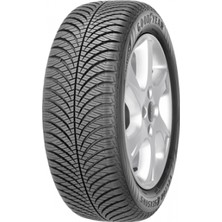 Goodyear 165/60R14 75H Vector 4 Seasons G2 Oto 4 Mevsim Lastiği (Üretim YILI:2025)