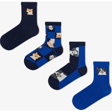 Penti Erkek Çocuk Mavi The Paw Club Pamuklu 4 Çift Soket Çorap