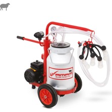 Tamam Ecomini İkili Koyun Süt Sağma Makinesi (Alüminyum Güğüm-Silikon Memelik) (Kuru Pompa)