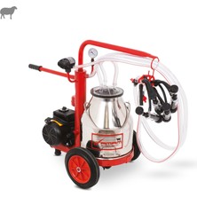 Tamam Ecomini İkili Koyun Süt Sağma Makinesi (Paslanmaz Güğüm-Kauçuk Memelik) (Kuru Pompa)