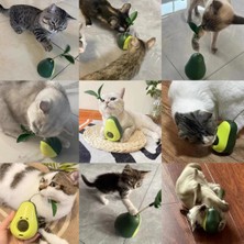 Eco Lounge Avokado Şeklinde Kedi Naneli ve Mama Hazneli Kedi Oyuncağı