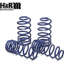 Drs Tuning Seat Toledo 1m 1.6/1.8 1999-2001 Arası H&r Spor Yay -50MM