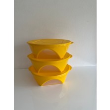 Tupperware Renkli Tutku 2.5litre 3lü