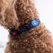 Pawstar Dino Dinozor Desenli Köpek Boyun Tasması Ayarlanabilir Köpek Tasması