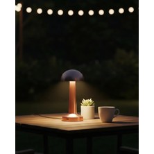 Astraltech Modern Bronz Masa Lambası 3 Renk LED Dokunmatik Şarjlı Model
