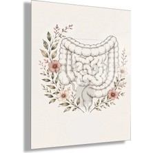 Gaagart Temperli Cam Tablo Minimal Çiçekli Anatomik Bağırsak Doktor Odası Tablosu