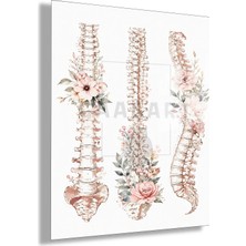 Gaagart Temperli Cam Tablo Üçlü Çiçekli Anatomik Omurga Muayenehane Dekoru
