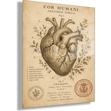 Gaagart Temperli Cam Tablo Vintage Botanik Anatomik Kalp Muayenehane Dekoru