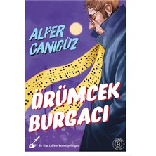Örümcek Burgacı (4'li Paket)