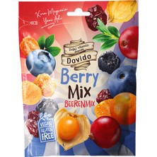 Dovido Berry Mix 100 G (7'li Paket)
