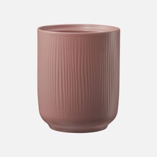 Soendgen Falun Saksı Pembe 15 cm (5'li Paket)