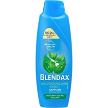Blendax Isırgan Özlü Şampuan 500 ml (5'li Paket)