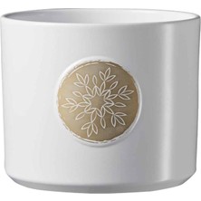 Soendgen Winter Friends Gold Kar Tanesi (7'li Paket)