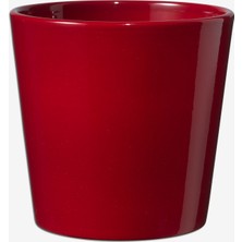Soendgen Dallas Saksı Bordo 21 cm (3'li Paket)