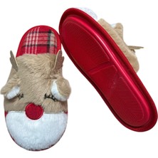 Chirpy Mary Kadın Terlik Camel 40-41 (3'li Paket)