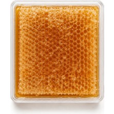 Engür Organik Sivas Petek Balı 500 gr