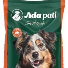 Adapati Ada Pati Köpek