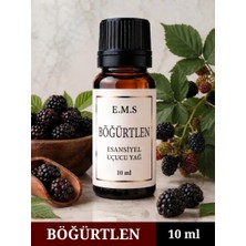 E.M.S BÖĞÜRTLEN Esansiyel Uçucu Yağ Buhurdanlık Yağı Difüzör Esansı Oda Kokusu Esansı MUM ESANSI 10 ML.