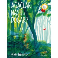 Brf Store Elivorasell Ağaçlar Nasıl Doğar?