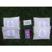 Brf Store Elivorasell Perlit+Kök Hormonu + Kök Besini