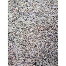 Brf Store Elivorasell Midye Kırığı 100 Gram, 100 Gr, Beyaz