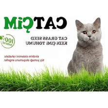 Esranın Dünyası Doğal Kedi Çimi Tohumu Karışımı, 250 Gram, Ilaçsız ve Sağlıklı