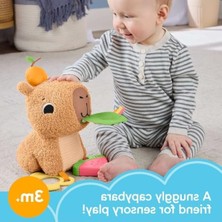 Esranın Dünyası Yumuşak Kapibara Duyusal Gelişim Oyuncağı
