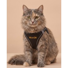 Lusi Doog Kişiye Özel Kedi Gezdirme Tasması Airmesh Isimli Kedi Göğüs Tasması Esnek Kedi Tasması