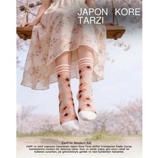 Bolero Japon Kore Tarzı Şeffaf Desenli Kadın Çorap