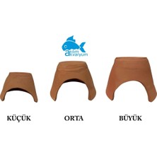 Atılım Akvaryum Tropheus Aşk Küpü Balık Yuvalığı L Boy 20x14cm