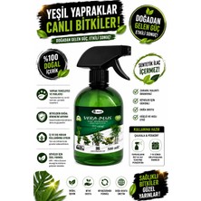 MF Botanik Vera Plus – Daha Yeşil, Daha Canlı Yapraklar İçin Özel Bitki Besini Spreyi (500 ml)