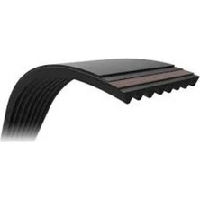 Contitech Kayış CNT_5PK1290 Contitec