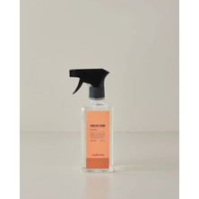 English Home Vanilla Wind Oda Spreyi
