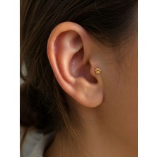 Hector Co Jewellery 14 Ayar Altın Pati Figürlü Minimal Tragus Piercing