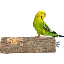 Brf Store Shopletsell Doğal Ağaç Kuş Tüneği ve Yemlik Kütük Tünek Yemlikli Tünek Uzunluk 15 cm
