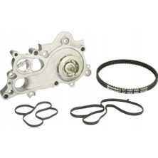 Contitech Su Pompasi+81 Dis Kayis (Vw Caddy 16-20 Golf 17- Polo 15-18 Audi A1 15- A3 17- Seat Leon 17- Skoda Fabia 15- Octavia 17-)