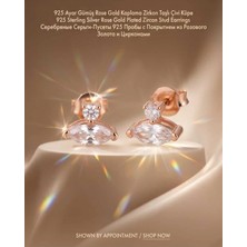 Begonia Accessories 930 Ayar Gümüş Rose Gold Rodyum Kaplama Zirkon Taşlı Minimal Halka ve Çivi Küpe Kadın Lüks Tasarım Şık Günlük Kullanım Gümüş Küpe ÇEŞITLERI-287-14