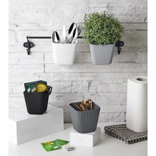 Starseven Duvara Asılan Çok Amaçlı Organizer - 2'li Saksı Set