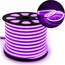 SHC4200 PM-5291 Silikon Kaplama 12 Volt 100 Metre Mor Neon LED Şerit Aydınlatma