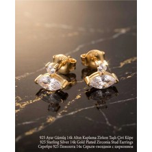 Begonia Accessories 925 Ayar Gümüş 14K Altın Kaplama Rodyum Kaplama Zirkon Taşlı Minimal Halka ve Çivi Küpe Kadın Lüks Tasarım Şık Günlük Kullanım Gümüş Küpe ÇEŞITLERI-287-2