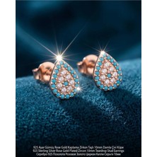 Begonia Accessories 928 Ayar Gümüş Rose Gold Rodyum Kaplama Zirkon Taşlı Minimal Halka ve Çivi Küpe Kadın Lüks Tasarım Şık Günlük Kullanım Gümüş Küpe ÇEŞITLERI-287-8