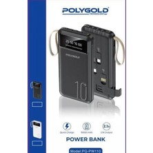 PG-PW110 10.000 Mah Powerbank