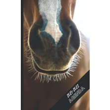 Starseven Agenda Scolaire 2021 - 2022: Agenda Cheval - Planificateur Scolaire Journalier, Hebdomadaire Et Men
