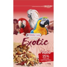Starseven Versele Laga Exotic Nuts 750 gr Papağan Yemi
