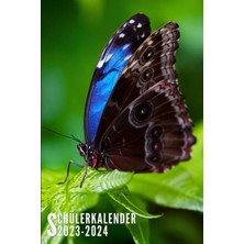 Starseven Schülerkalender 2023 2024: Schmetterling - Schulplaner Für Grundschule, Mädchen, Jungen, Teenager |