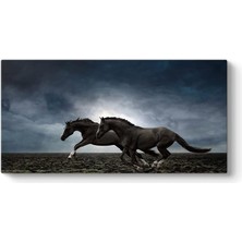 Starseven Tabloshop Koşan Siyah Atlar 60 x 30