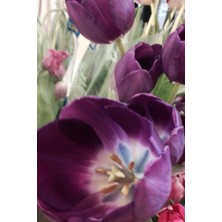 Starseven Independently Published Floral Daily Journal