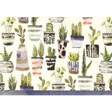 Starseven Note Card Watercolor Succulents